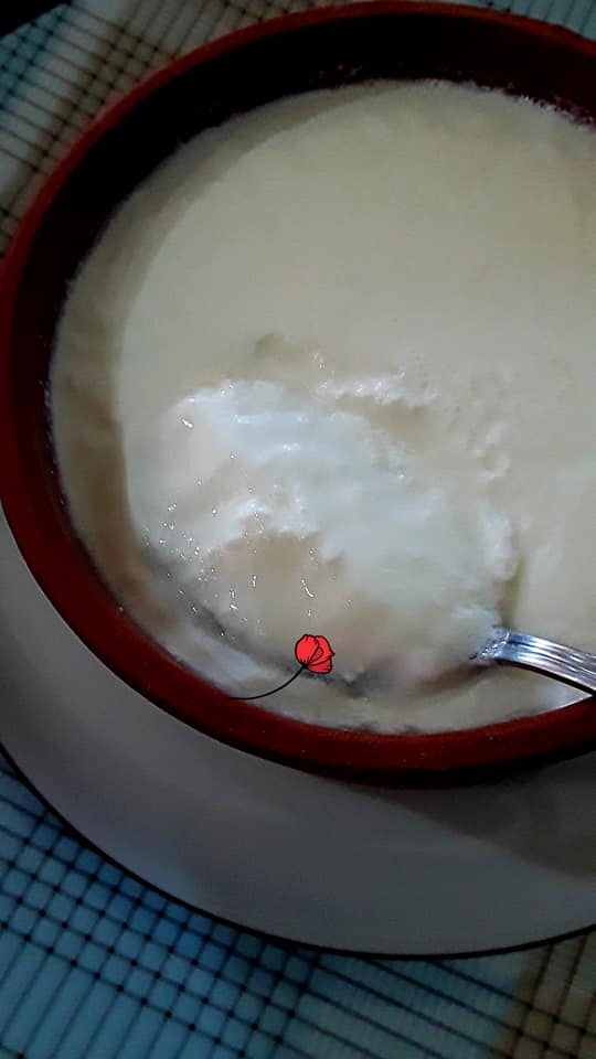 yoghurt3