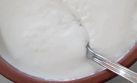 yoghurt5