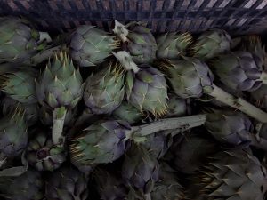 Άγριες Αγκινάρες